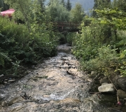 IMG_0209
